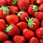 Purple Yellow Blue Red Giant Strawberry 200 Seeds
