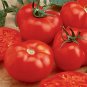 Beefmaster Hybrid F1 Tomato 200 Seeds