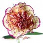 Dianthus Caryophyllus Heirloom Carnation Flower 400 seeds