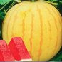 Heirloom Yellow Skin Red Seedless Watermelon 40 seeds