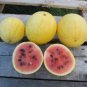 Heirloom Yellow Skin Red Seedless Watermelon 40 seeds