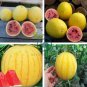 Heirloom Yellow Skin Red Seedless Watermelon 200 seeds