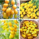 Rare 'Imperial concubine' F1 Yellow Cherry Tomato 40 seeds