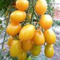 Rare 'Imperial concubine' F1 Yellow Cherry Tomato 40 seeds