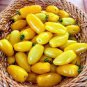 Rare 'Imperial concubine' F1 Yellow Cherry Tomato 40 seeds