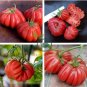 'Zapotec Ruffled' Old Rare Mexican Organic Heirloom Tomato 200 seeds