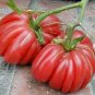 'Zapotec Ruffled' Old Rare Mexican Organic Heirloom Tomato 200 seeds