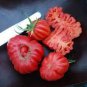 'Zapotec Ruffled' Old Rare Mexican Organic Heirloom Tomato 200 seeds