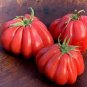 'Zapotec Ruffled' Old Rare Mexican Organic Heirloom Tomato 200 seeds