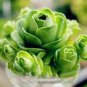Greenovia Flowers Seeds Green Mountain Rose Succulent Plants 200 seeds