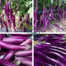 Hangzhou Purple Red Eggplant 200 seeds