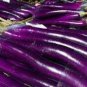 Hangzhou Purple Red Eggplant 200 seeds
