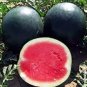 Genuine Heirloom Giant Baby Sweet Juicy Watermelon 40 Seeds