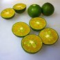 New Calamansi Calamondin Lime 40 seeds