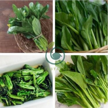 Sweet and Tender Choy Sum Organic Cabbage 520 seeds
