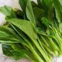 Sweet and Tender Choy Sum Organic Cabbage 520 seeds