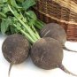 Heirloom Rare Black Small Fruit Radish with White meat 200 seeds