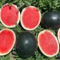 Heirloom Yellow Skin Red Seedless Watermelon Fruit 20 seeds
