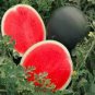 Heirloom Yellow Skin Red Seedless Watermelon Fruit 20 seeds
