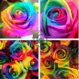 Colorful Rainbow Rose Valentine Lover Flower 100 seeds