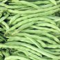 Green Kidney Bean Organic Vegetable 50 Seeds