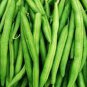 Green Kidney Bean Organic Vegetable 50 Seeds