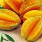 Averrhoa Carambola 200 Seeds