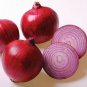 Red Creole Onion Vegetables 200 Seeds