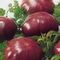 Rainbow / Black Elephant Tomato 200 Seeds