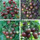 Tomato Cherry Black Vegetable 200 Seeds