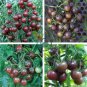 Tomato Cherry Black Vegetable 200 Seeds