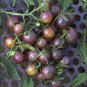 Tomato Cherry Black Vegetable 200 Seeds