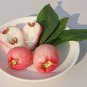 Wax Seeds Tropical Fruit Tree 100 Seeds