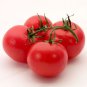 24 KINDS Tomato Seeds mixed packed  400 Seeds