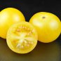 24 KINDS Tomato Seeds mixed packed  400 Seeds
