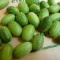 Heirloom Mouse Melon Sandiita Cucamelon Melothria Scabra  20 Seeds