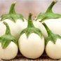 Lao White Eggplant 400 Seeds