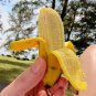 Edible Banana Tree &acirc;��Dwarf Lady Finger&acirc;�� (Musa acuminata) 200 Seeds