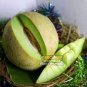 Colorful Ellipse Sweet Melon 40 Seeds