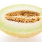Colorful Ellipse Sweet Melon 40 Seeds