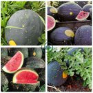 Black Yellow Skin Red Watermelon 'Crystal Ball'  20 Seeds