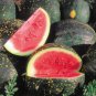 Black Yellow Skin Red Watermelon 'Crystal Ball'  20 Seeds