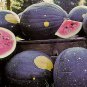 Black Yellow Skin Red Watermelon 'Crystal Ball'  20 Seeds