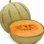 Heirloom Blenheim Orange Melon 20 Seeds
