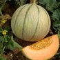 Heirloom Blenheim Orange Melon 20 Seeds