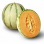 Heirloom Blenheim Orange Melon 20 Seeds