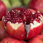 Punica granatum Favorite Delicious Small Pomegranate Fruit 40 Seeds