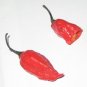 Bhut Jolokia Indian Ghost Pepper Scoville Over 1,000,000 30 Seeds