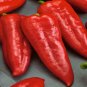 Giant Marconi Hybrid Sweet Pepper 200 Seeds