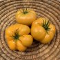 'Aunt Gertie's Gold' Organic Yellow Beefsteak Heirloom Tomato 200 Seeds